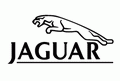 ������ ������� ���� ��� JAGUAR